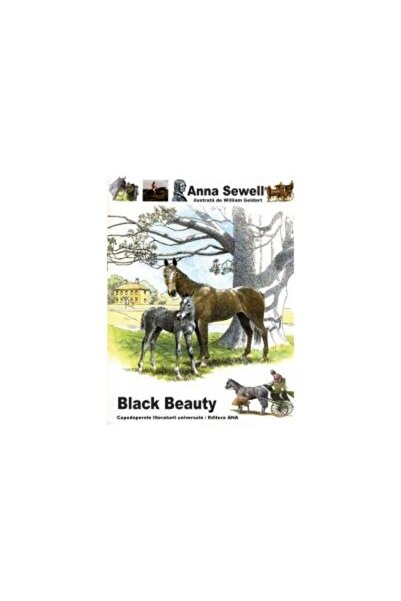 Editura Marcela Penes Black Beauty, Anna Sewell