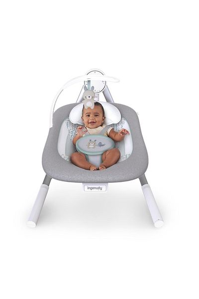 Ingenuity - AnyWay Sway™ Portable Swing, Spruce