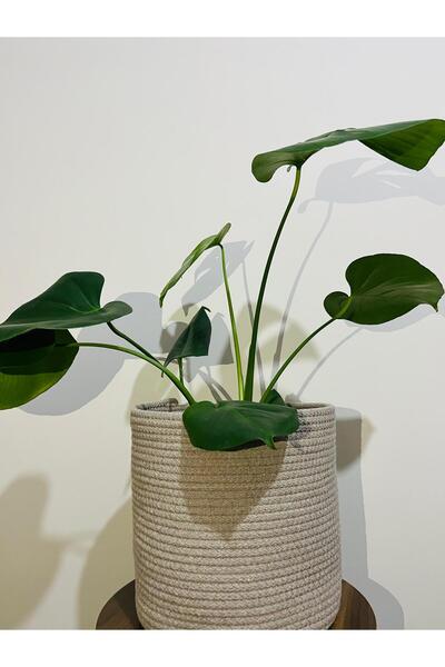 EYLCOTTON Çok Amaçlı Sepet - Bej Renk Saksılık- Eşya Düzenleyici - 25*25 cm
