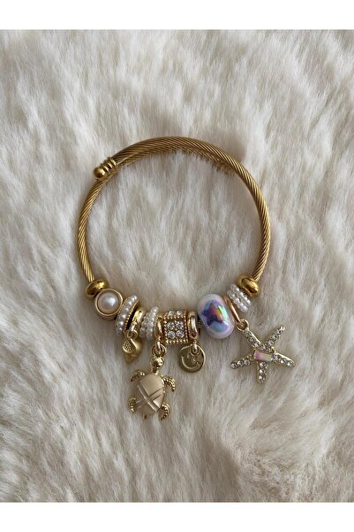 Pandoram Charmlı Model Çelik Bileklik