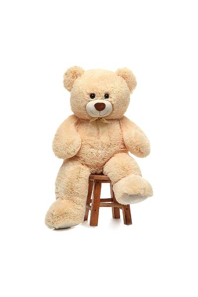 rexa 160cm - Big Teddy Bear Plush Soft Stuffed Animal Gift for Girlfriend Kids