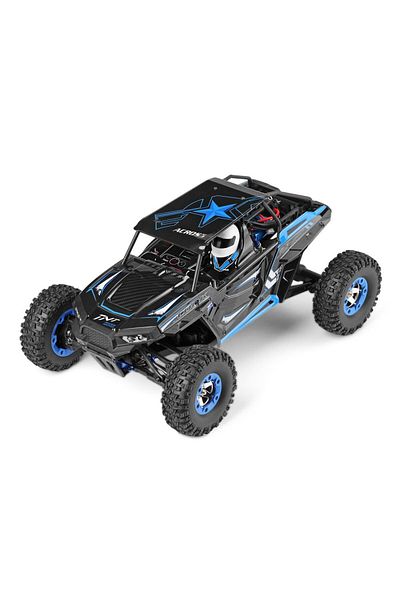 WL TOYS WLtoys Buggy 12428-B remote control car