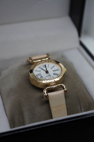 Ricardo Brand Roman Numeral Oval Case Minimal Snakeskin Wristwatch