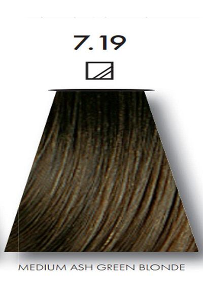 Keune 2 Packs of Keune Tinta Color Hair Dye No. 7.19 Medium Ash Blonde Green with Silk Protein Treatment