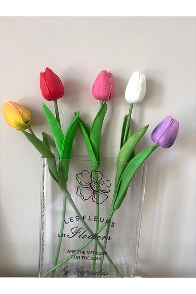 DEFORA Mika Book Pinterest Vase and Mixed Color Wet Look Tulip