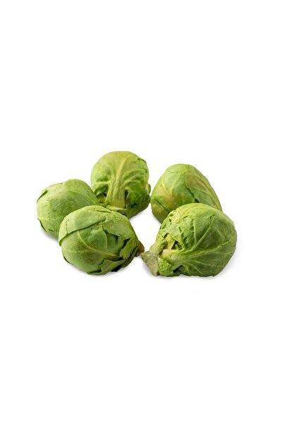 HapHug Freeze Dried Sebze - Brüksel Lahanası - Toptan Paket - 150 Gr