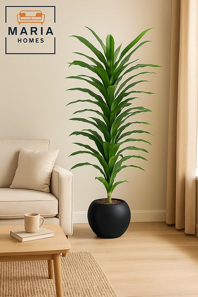 MARIA HOMES Artificial Corn Leaf Tree 185 cm – Indoor Plant with Black Plastic Pot