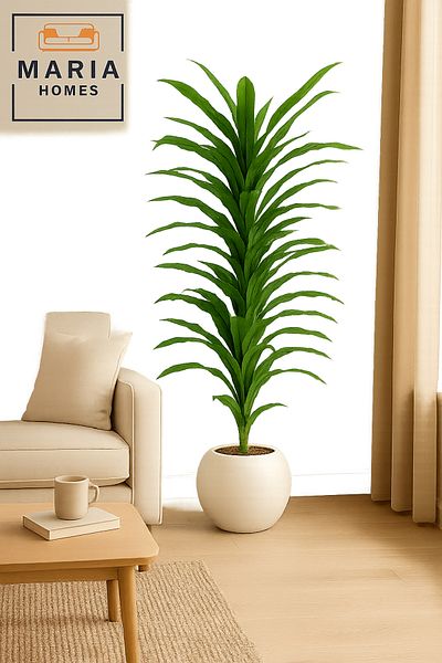 MARIA HOMES Artificial Corn Leaf Tree 185 cm – Tall Indoor Plant with White Plastic Pot