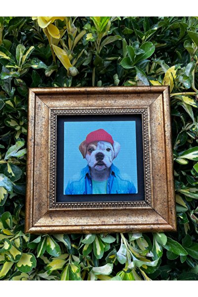 Innovate Store Cadru de calitate pentru pictura cu câine drăguț din piatră na...