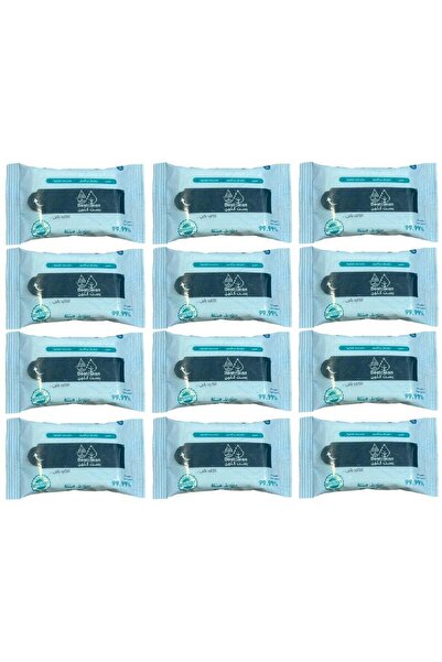 Best Clean مناديل مبللة لإزالة البقع من بيست كلين - 12 قطعة