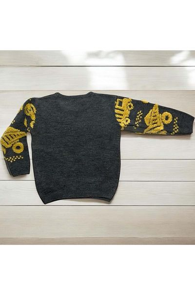Erceylan Erc101 Embroidered Boy's Sweater