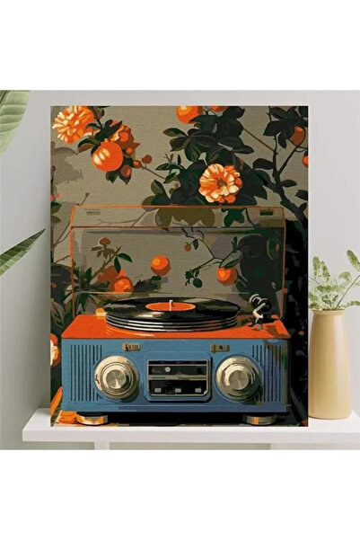 Genel Markalar Sayılarla Boyama Tuval Seti Fırça Boya Dahil (Çıtalı) 40x50 CM - Pikap