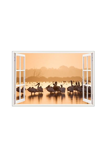 BV Decorative sticker, 3D window, Pelicans, 85 cm, 655STK