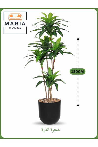 MARIA HOMES Artificial Corn Leaf Tree 180 cm – Indoor Faux Plant with Black Pot