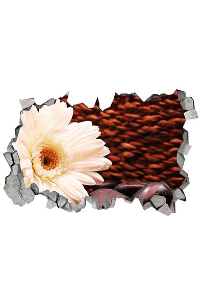 BV Decorative sticker, 3D hole in the wall, Flower, 85 cm, 183STK-1