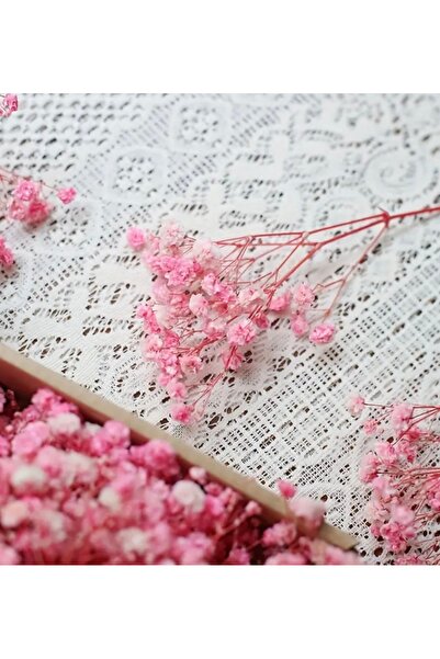 Vesile Atölye Kuru Çiçek 1.Kalite Şoklanmış Mini Pembe Cipso Buketleri (50 Dal)