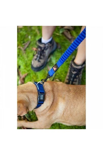 Ezydog Zero Shock Candy Extension Strap 64 Cm