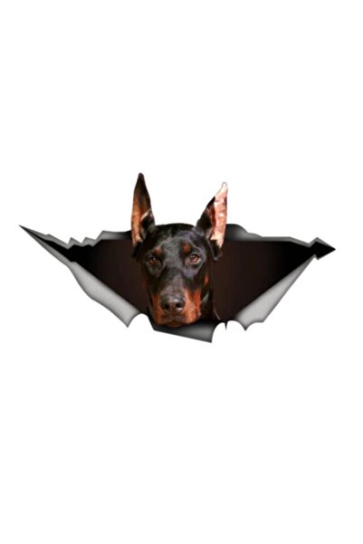 TSC ملصق سيارة دوبيرمان لاصق 20 سم