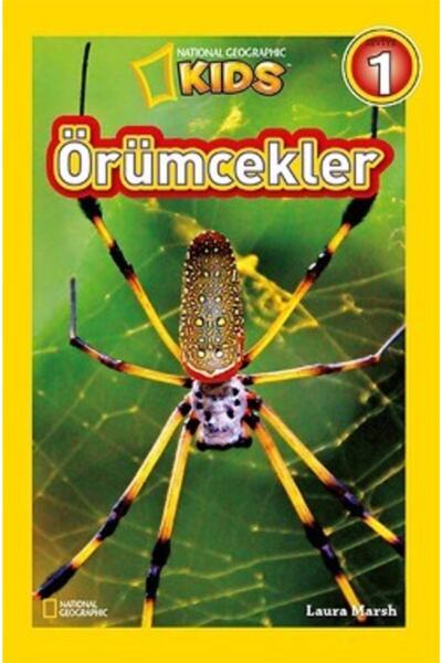 Beta Kids Örümcekler - Laura Marsh Örümcekler Kitabı" -