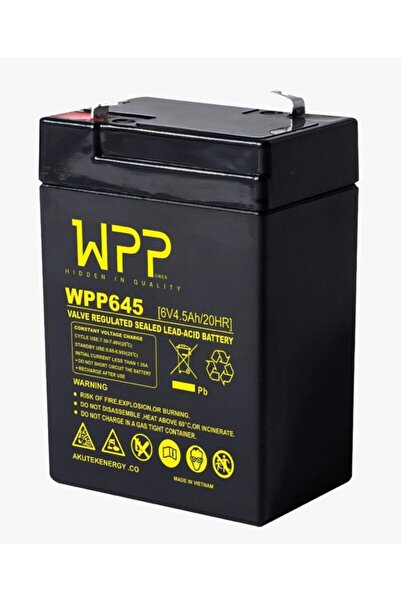 WPP Akülü Araba Aküsü Kuru Tip Bakımsız 6v 4,5 Ah--12--
