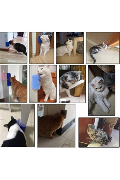 CMT Blue Catit Cat Itching Apparatus