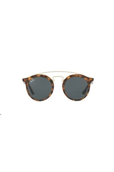 Ray-Ban 4256 60926g 46