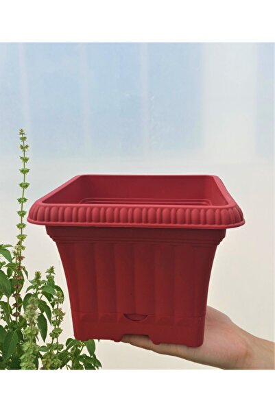 Doğalsan Tarım Ova Balkon Saksı 2,2 Lt 1 Adet Kırmızı Saksı Ova Saksı Dekorat...