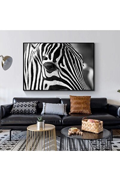 Piri Kanvas Tablo Siyah Beyaz Zebra Kanvas Tablosu Tablo