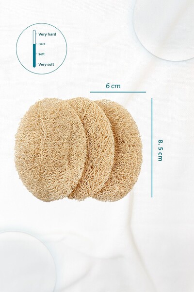 Balmy Pumpkin Peeling Disc (6 Pack) - Bath Loofah