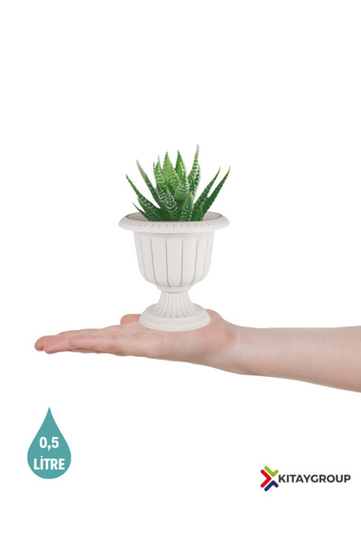 KıtayGroup Nergiz Dekoratif Salon Masa Saksı Mini Saksı 0,5 Litre Kırık Beyaz