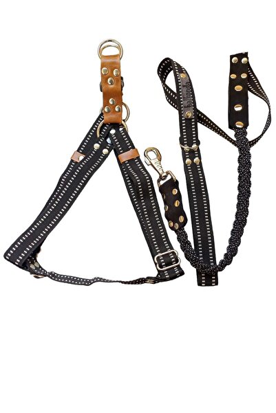 balkonda طقم طوق للكلاب مع حزام مقاس الصدر للسلالات المتوسطة: 50-80 سم الحزام...