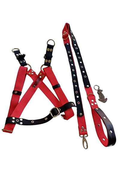 balkonda طقم طوق كلب مع حزام الصدر مقاس الصدر: 50-90 سم حزام قابل للتعديل: 12...