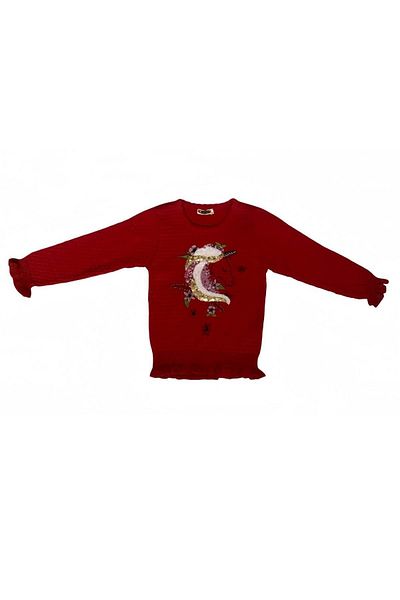 Erceylan Pul Embroidered Sweater