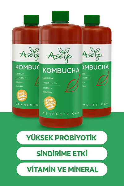 asellya sağlıklı yaşam شاي كومبوتشا مخمر طبيعي - تخمير بارد - طعم محلي الصنع 3