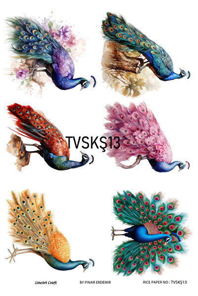 LİNEART Lineart Pirinç Dekopaj Kağıdı TVSKŞ13