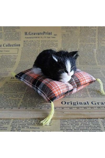 Choice Black Simulation Cat Toy Ornaments Simulation Animal Flower Cat Cloth Cushion Cat Nap Cat Desktop Do