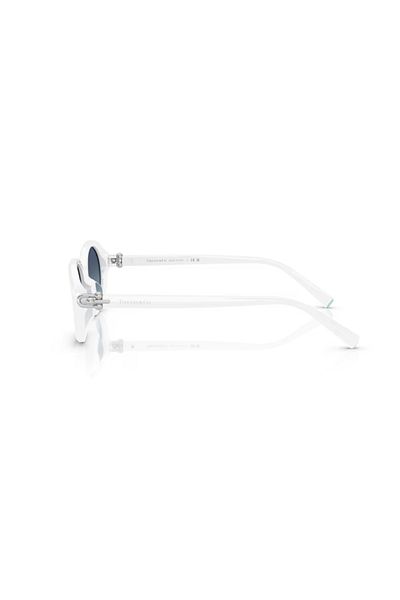 Tiffany &Co. Tf 4242D 83929S 54 Women's Sunglasses