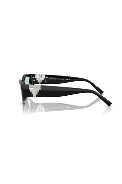 Tiffany &Co. Tf 4234U 8001D9 55 Unisex Sunglasses