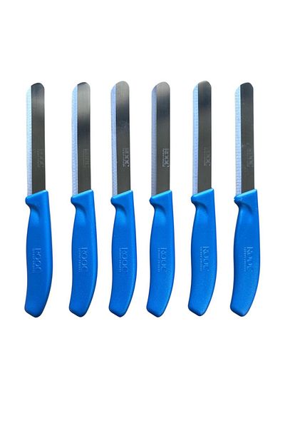 Rooc Set of 6 Ultra Sharp Serrated Blades – Blue, 22 cm 100% Guaranteed Stainless Steel
