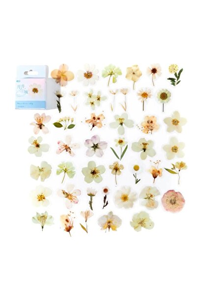 Choice مجموعة ملصقات يوميات Kawaii PET من 45 قطعة من الزهور لتعبئة الهدايا وأ...