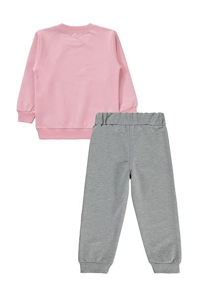 Civil Girls 2-5 Years Old Girl's Pink Tracksuit Set