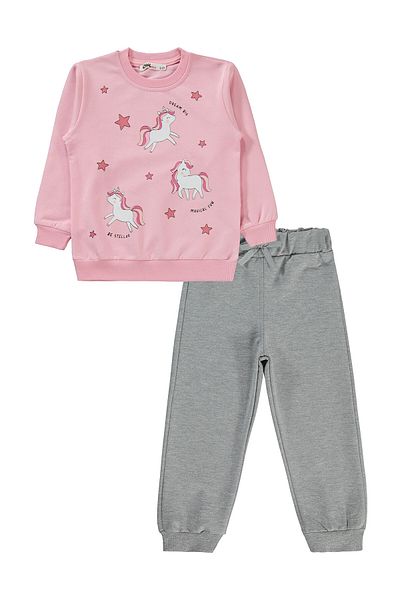 Civil Girls 2-5 Years Old Girl's Pink Tracksuit Set