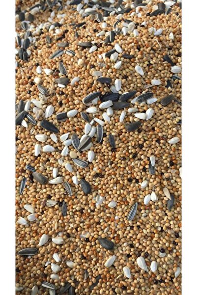 shop Papağan Yemi Lüks Karışık 2.5 Kg
