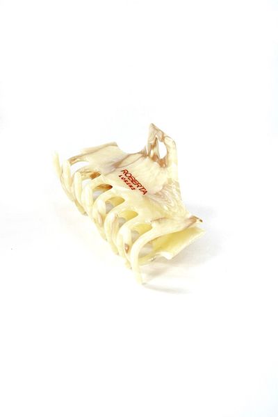 Roberta Lorenz Women's Roberta Lorenz Written High Quality Bone Material Hairpin 10 cm