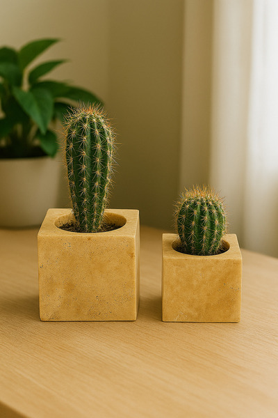 Modelce 2'li Traverten Küp Saksı Seti 8x8 - 10x10 cm | Doğal Taş Dekoratif Saksı