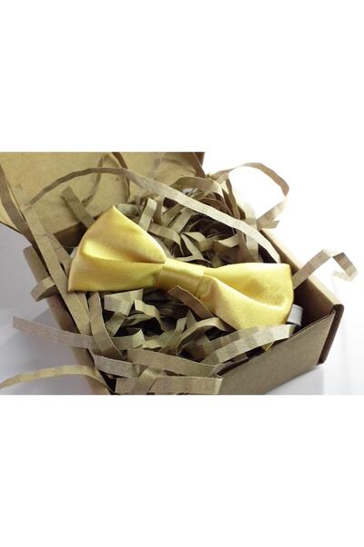 GallanD Plain Patterned Children's Bow Tie Set of 2 Birthday Wedding Special Day Practical Elastic Single Bow Tie