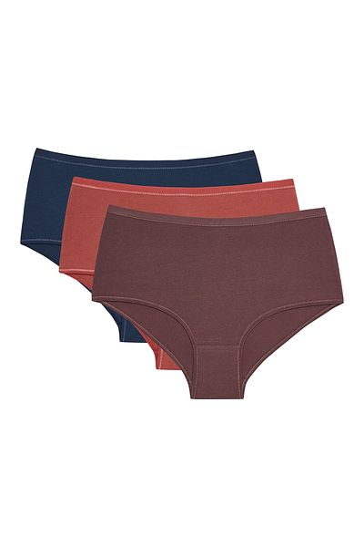 Penti Terra Multicolored 3-Piece Highwaist Slip