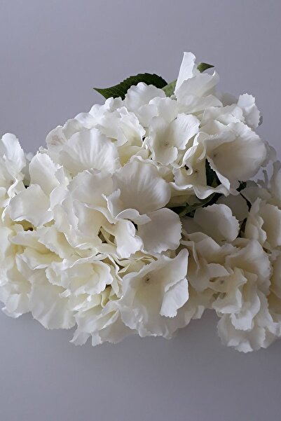 Genel Markalar Adresiyapayçiçek Yapay Çiçek 5 Dal Lux Ortanca Demeti Ekru – Yapay Çiçek Dekor, Masa Süsü, Fon