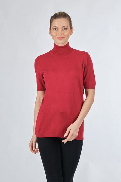 Desen Turtleneck Short Sleeve Dark Red Women's Sweater22220346