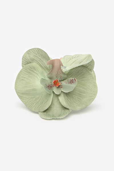 Penti Spona v barvě orchideje